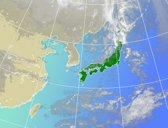 �������`20������ɍX�V����܂��B�q���̏�Ԃɂ���Ă͉摜�����X�V�܂��͗���邱�Ƃ�����܂�